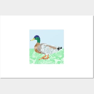 Marbled Paper Mallard Duck Posters and Art